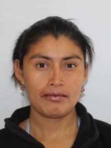 PETRONA HERNANDEZ GUZMAN